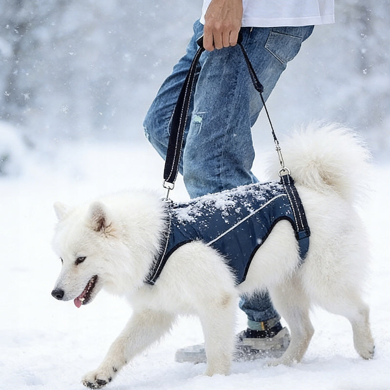 DOG HARNESS Rehabilitation Harness for Animal Lifting Carrier S Color blue