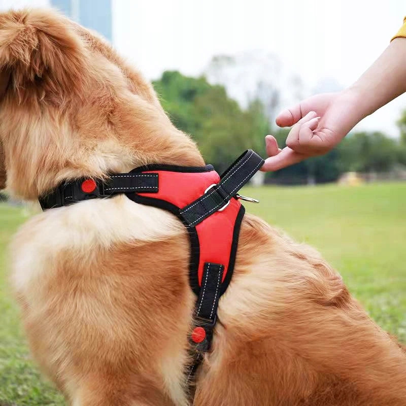 DOG HARNESS WALKING STRONG PRESSURE-FREE COMFORTABLE HANDLE 64-84cm size. L Brand Profi ID