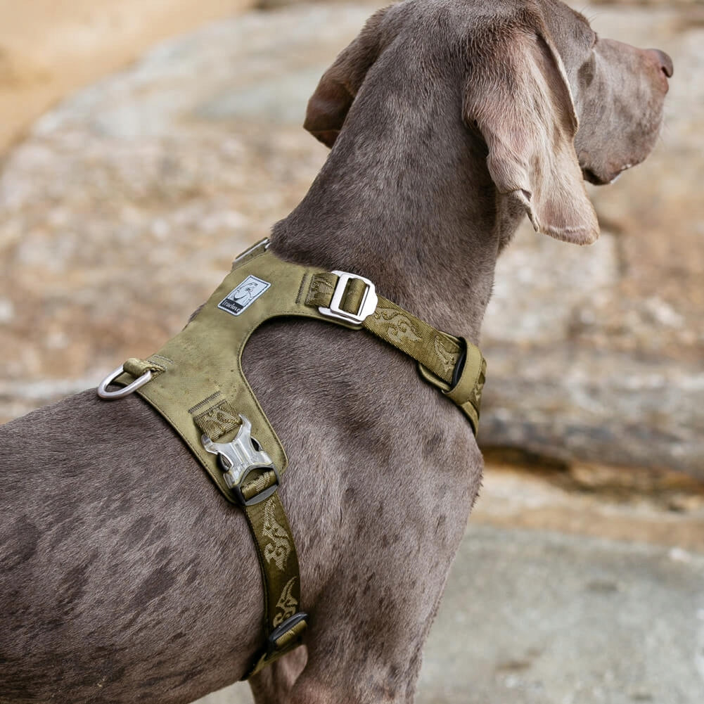 DOG HARNESS WATERPROOF TRUELOVE ADVENTURE SOFT KHAKI LIGHT M Size M