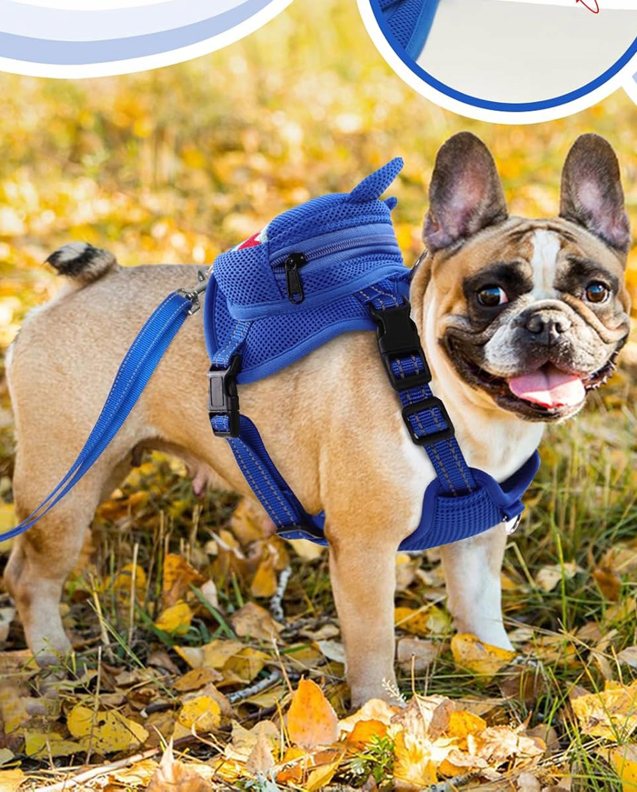 DOG HARNESS Walking Adjustable Pressure-Free With Backpack Breathable XS Maximum neck girth 34 cm