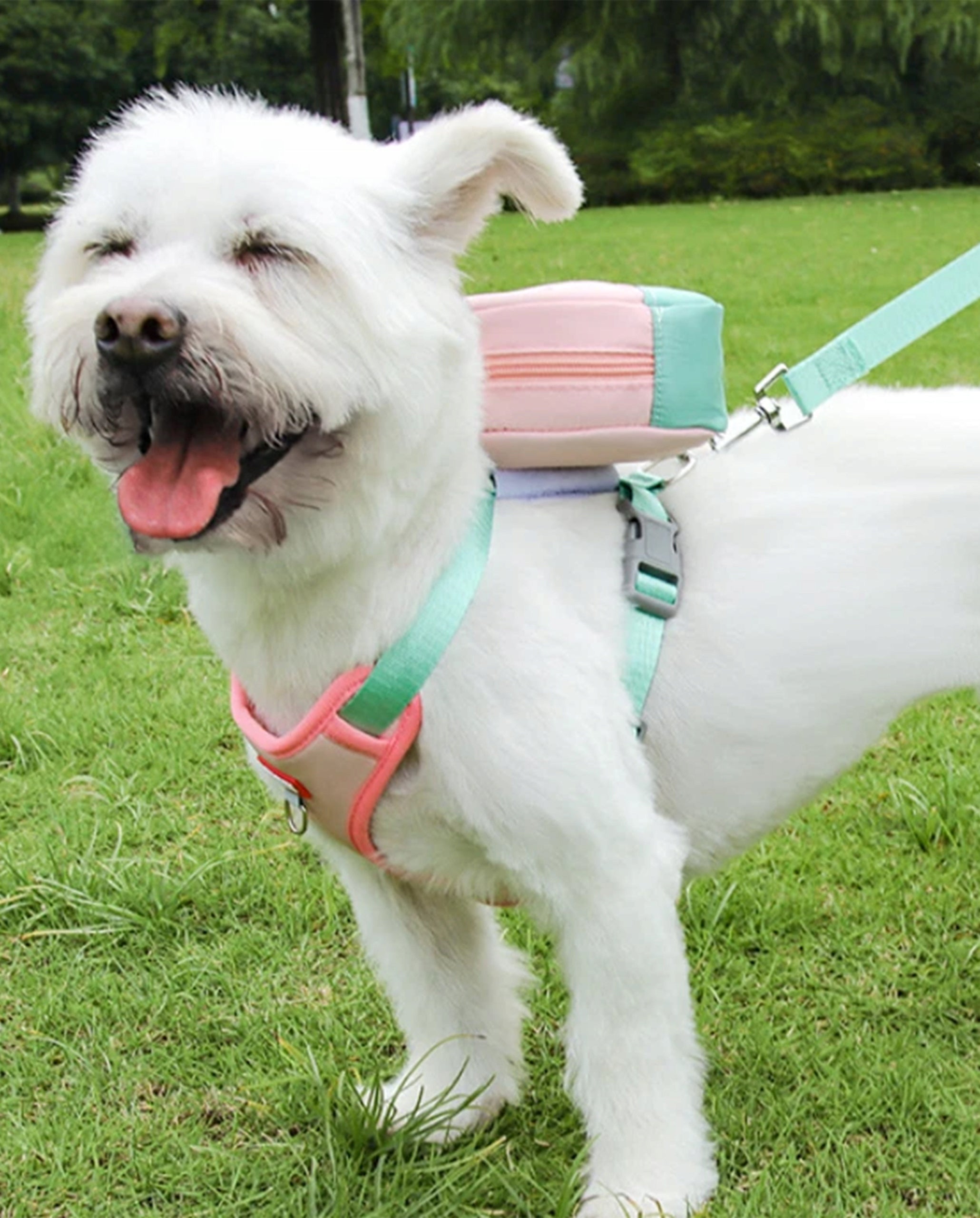 DOG HARNESS Walking Adjustable Pressure-Free With Backpack and Lanyard M Kind walking harness