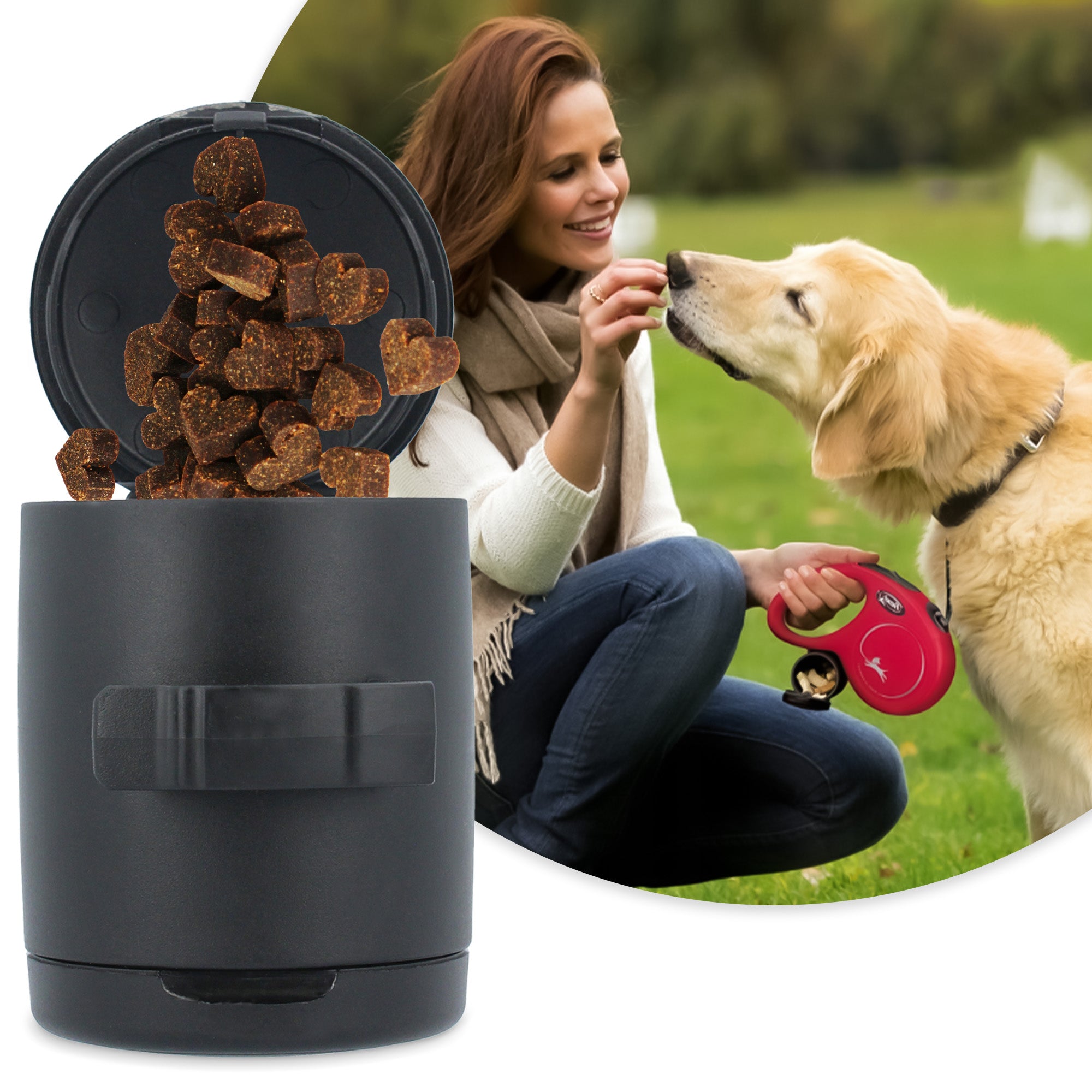 DOG LANYARD AUTOMATIC Lock 12kg 5m Cable CONTAINER BAGS Dog Breath 3O Material cord