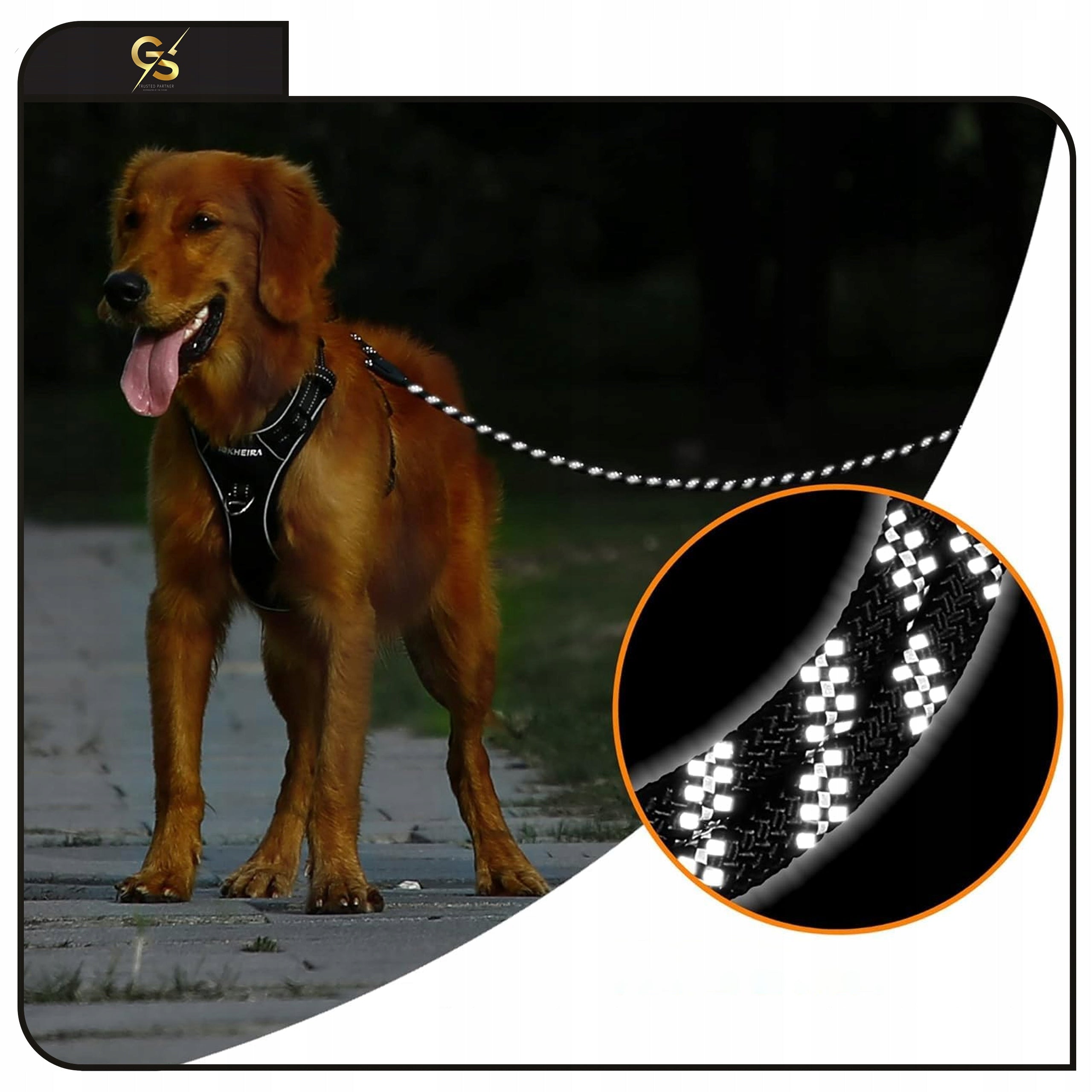DOG LEASH 10m LONG STRONG ROPE TRAINING ROPE THICK DURABLE COLORS Trade name MOCNA GRUBA SMYCZ DLA SILNYCH PSÓW 10 METRÓW