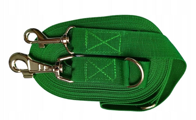 DOG LEASH CLIP-ON ADJUSTABLE LARGE CARABINER STRONG 10M GREEN