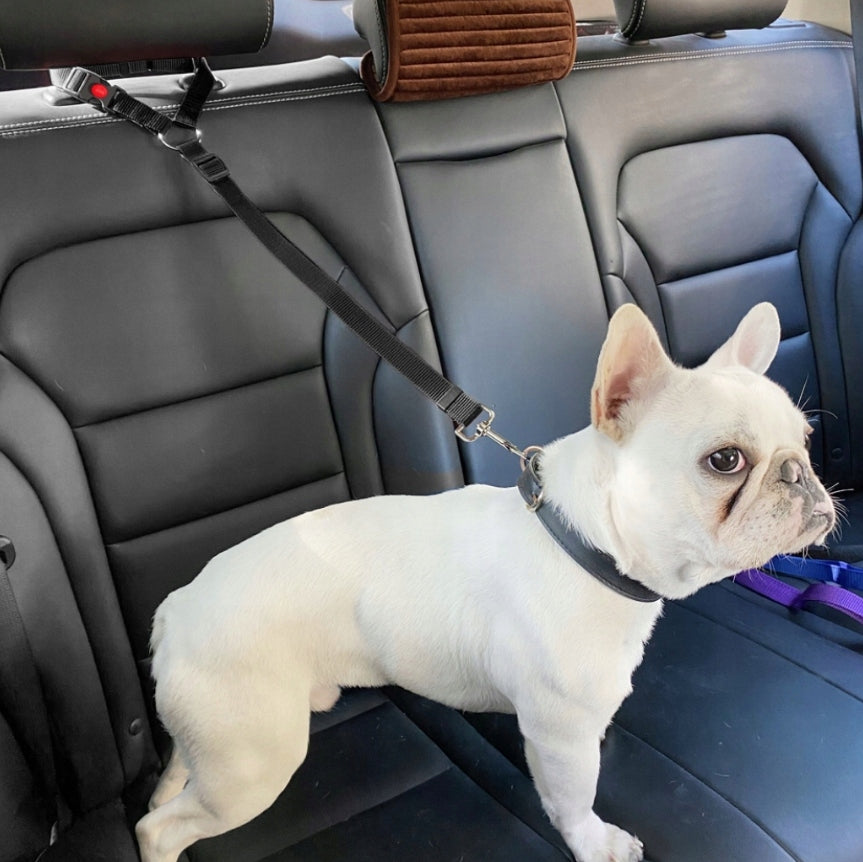 DOG LEASH FOR CAR WITH COLLAR 73 CM ADJUSTABLE STRONG SOLID Maximum leash length 0.735 m
