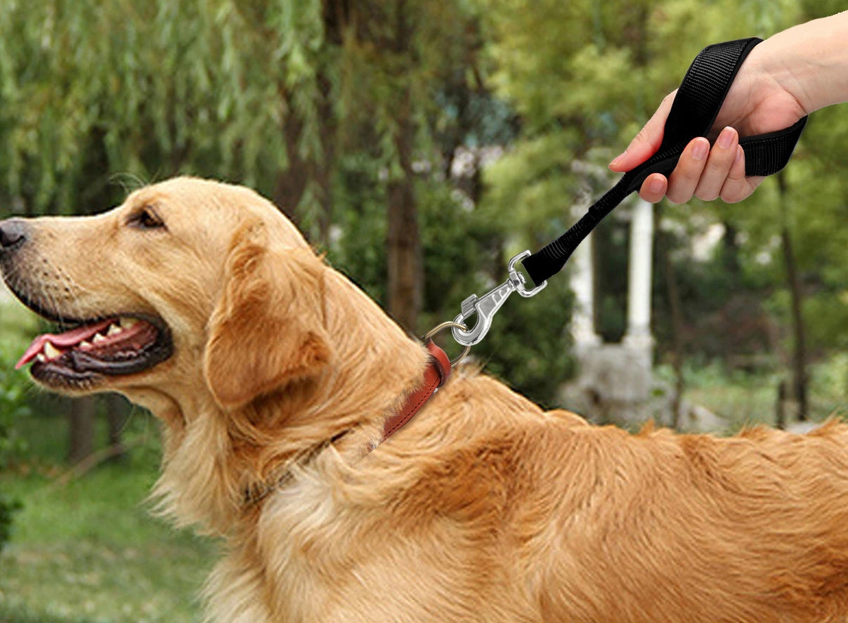 DOG LEASH STRONG SHORT EDUCATIONAL FOR TRAINING A LARGE DOG 450KG Manufacturer code SM-KR-ZP