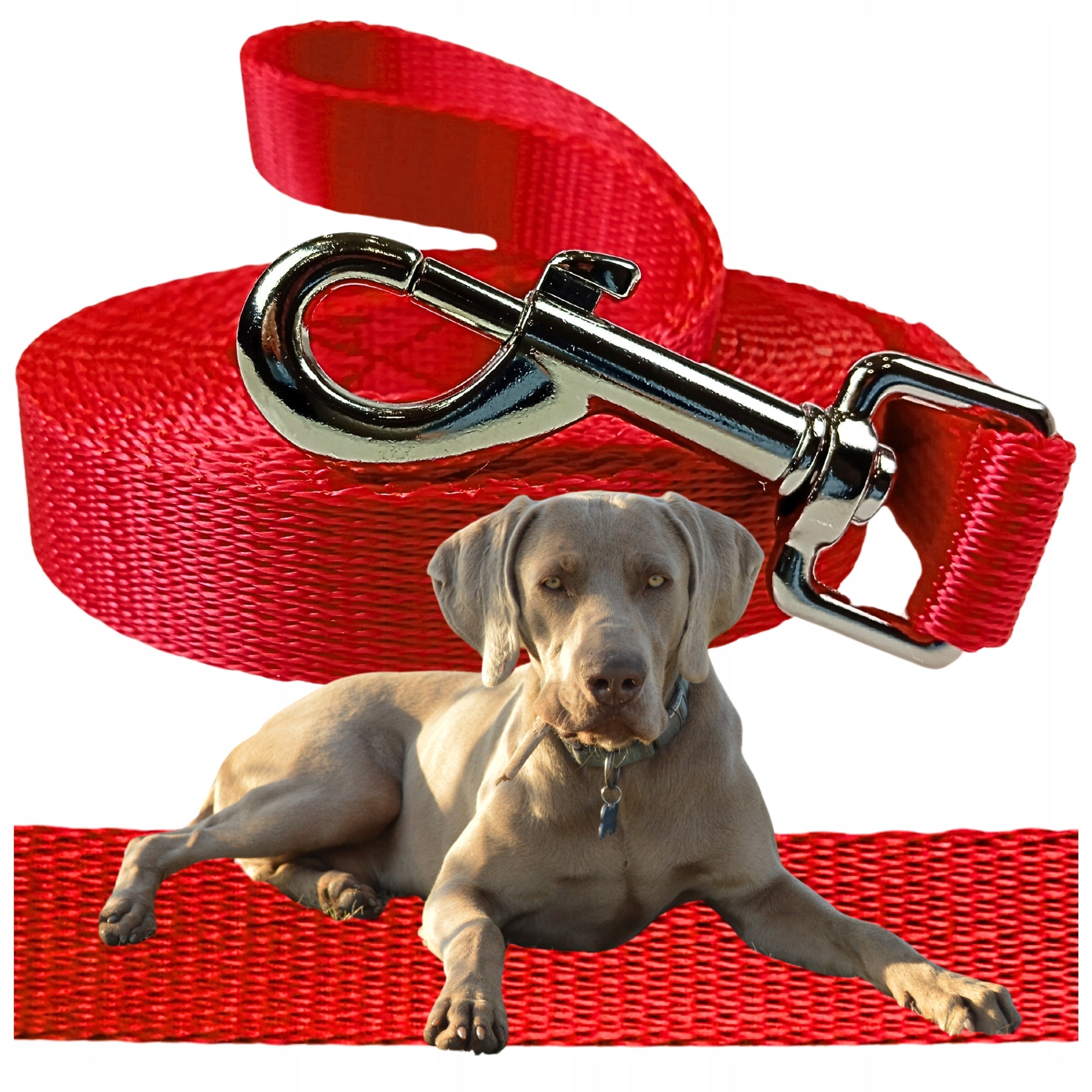 DOG LEASH TRAINING URBAN STRONG CORD TAPE 10M LARGE MEDIUM DOG