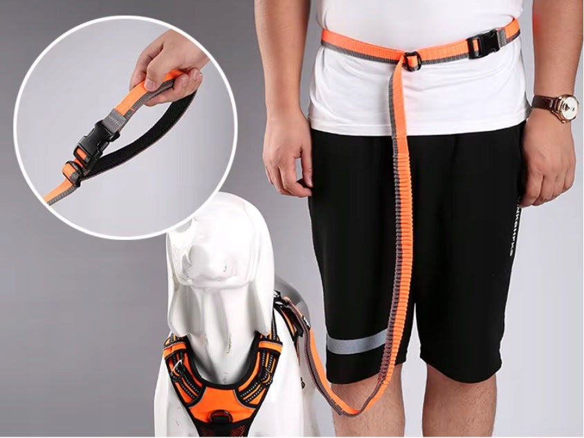 DOG LEASH WITH LIGHT SHOCK ABSORBER FOR RUNNING DOGS RED 3,4 m Color orange
