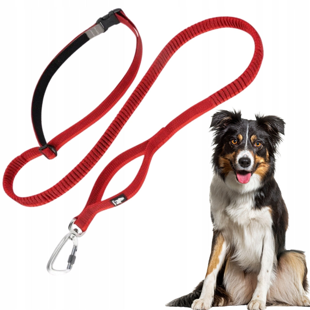 DOG LEASH WITH LIGHT SHOCK ABSORBER FOR RUNNING DOGS RED 3,4 m