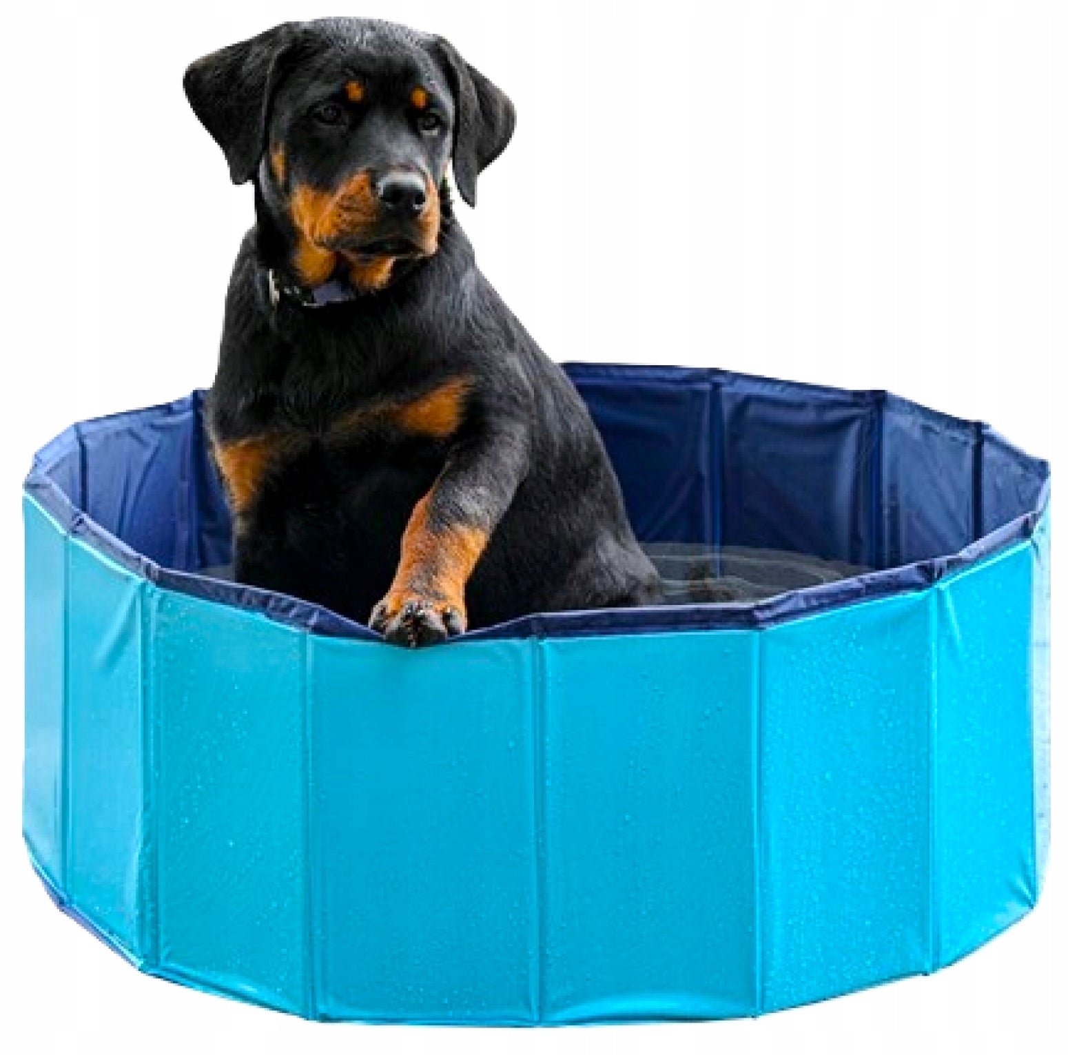 DOG POOL FOLDING GARDEN 80x30cm BLUE
