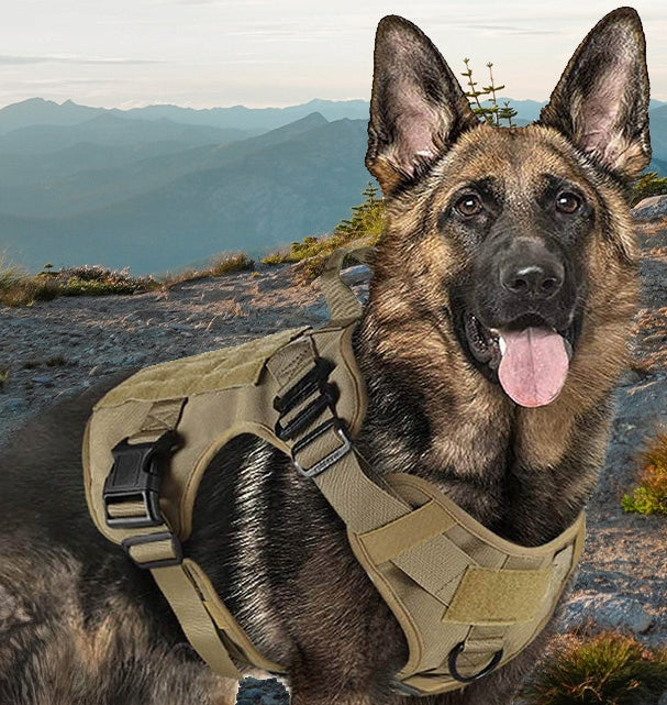 DOG TACTICAL HARNESS ADJUSTABLE GUARD WITH HANDLE STRONG SIZE XL Kind training / easy walk