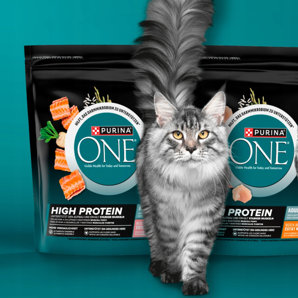 DRY CAT FOOD PURINA ONE HIGH PROTEIN - RICH IN SALMON, 900G Brand Purina