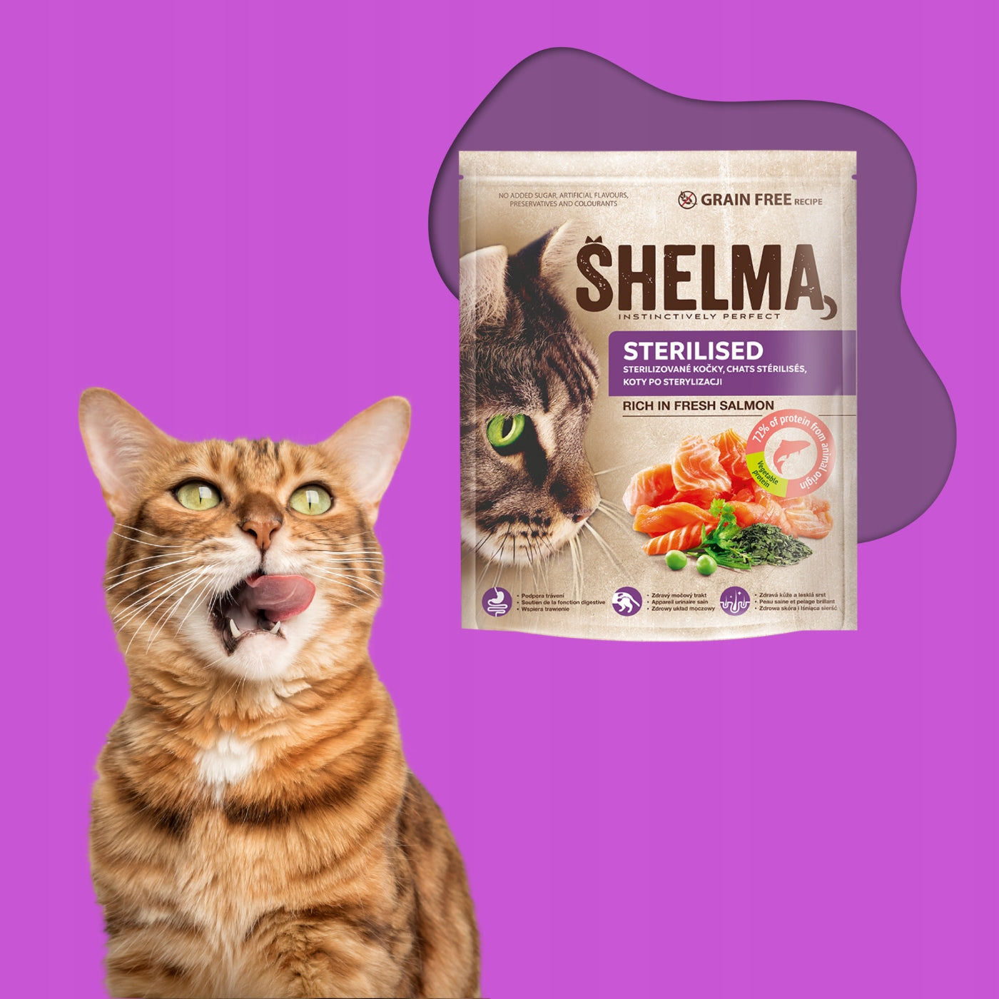 DRY CAT FOOD WITH SALMON SHELMA WITHOUT GRAINS CATS AFTER STERILIZATION 1,4KG Brand Shelma