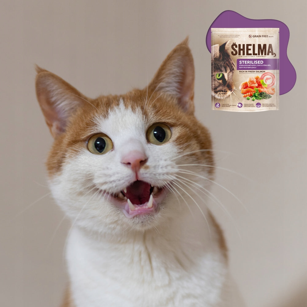 DRY CAT FOOD WITH SALMON SHELMA WITHOUT GRAINS CATS AFTER STERILIZATION 1,4KG Packaging status original