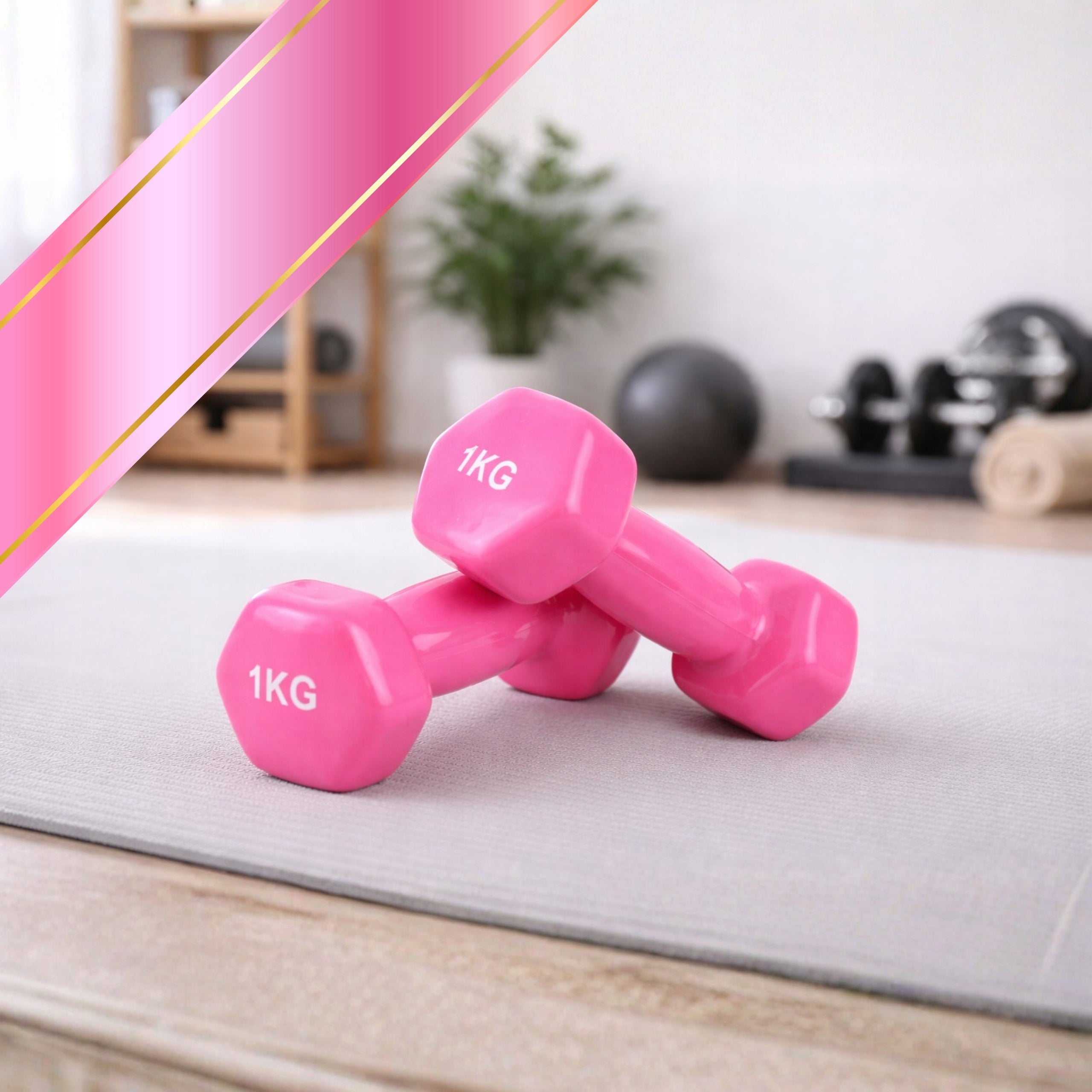 DUMBBELLS CAST IRON WEIGHTS FOR EXERCISE FITNESS GYM PINK 2X1KG MONTESSA Brand no brand
