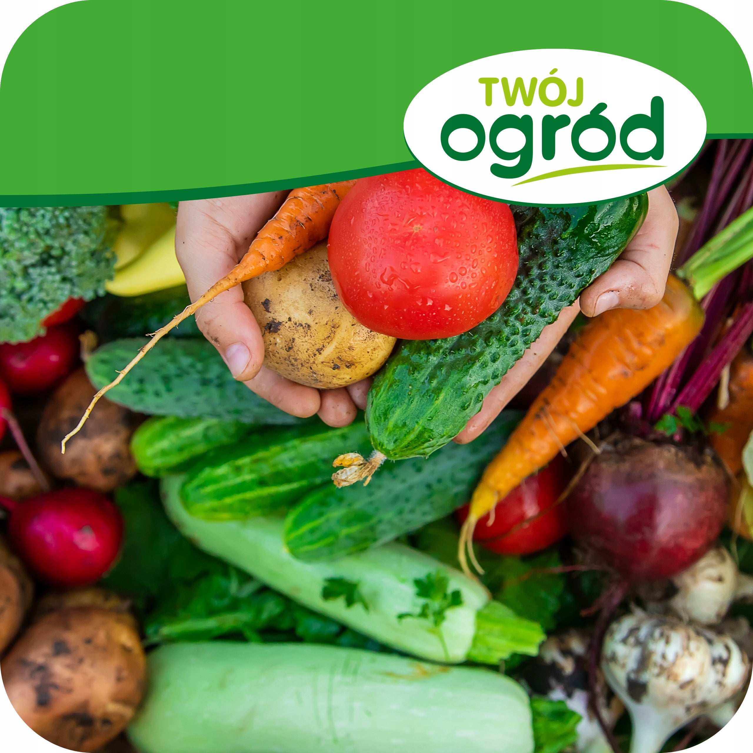 DUST MANURE NATURAL GRANULATED FERTILIZER FOR PLANTS for fruit vegetables 10L Manufacturer Twój Ogród