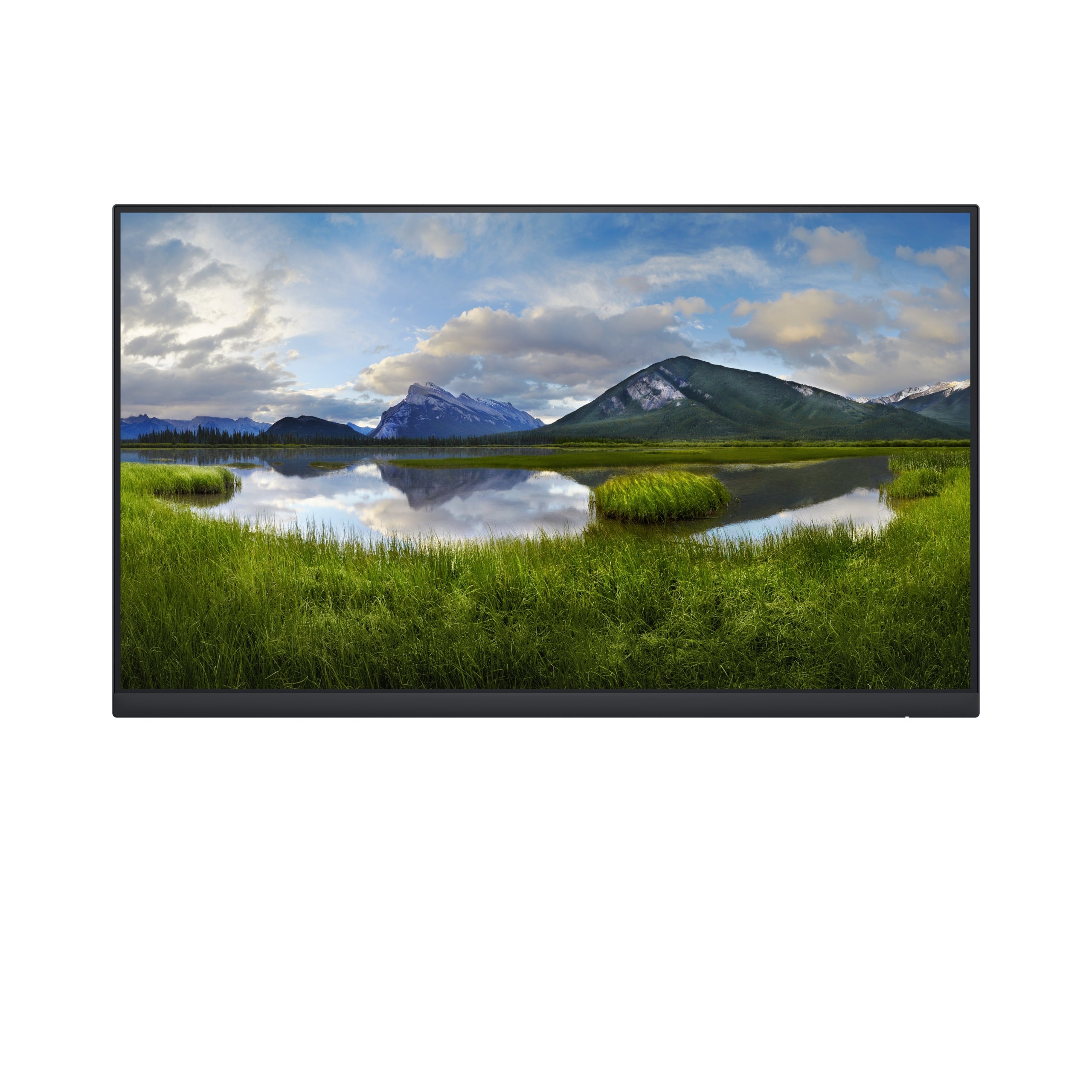 Dell P2422H LED Monitor 23.8'' 1920 x 1080 px IPS / PLS