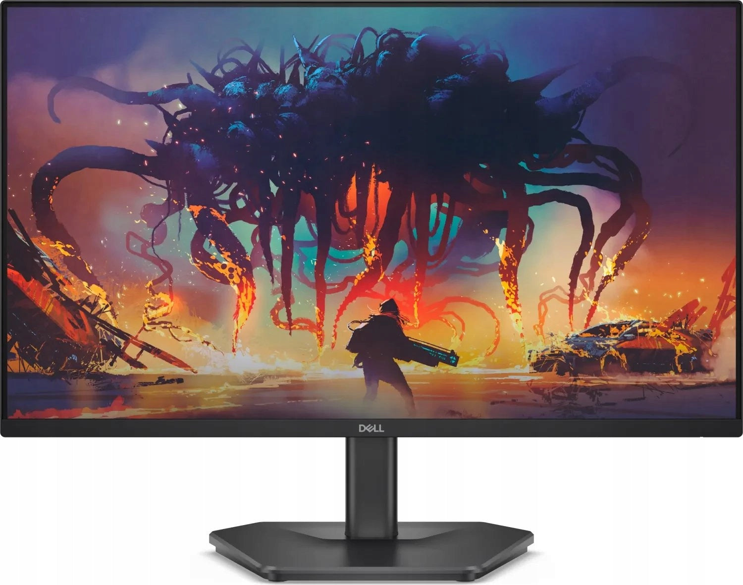 Dell SE2425HG Monitor (210-BSNR)