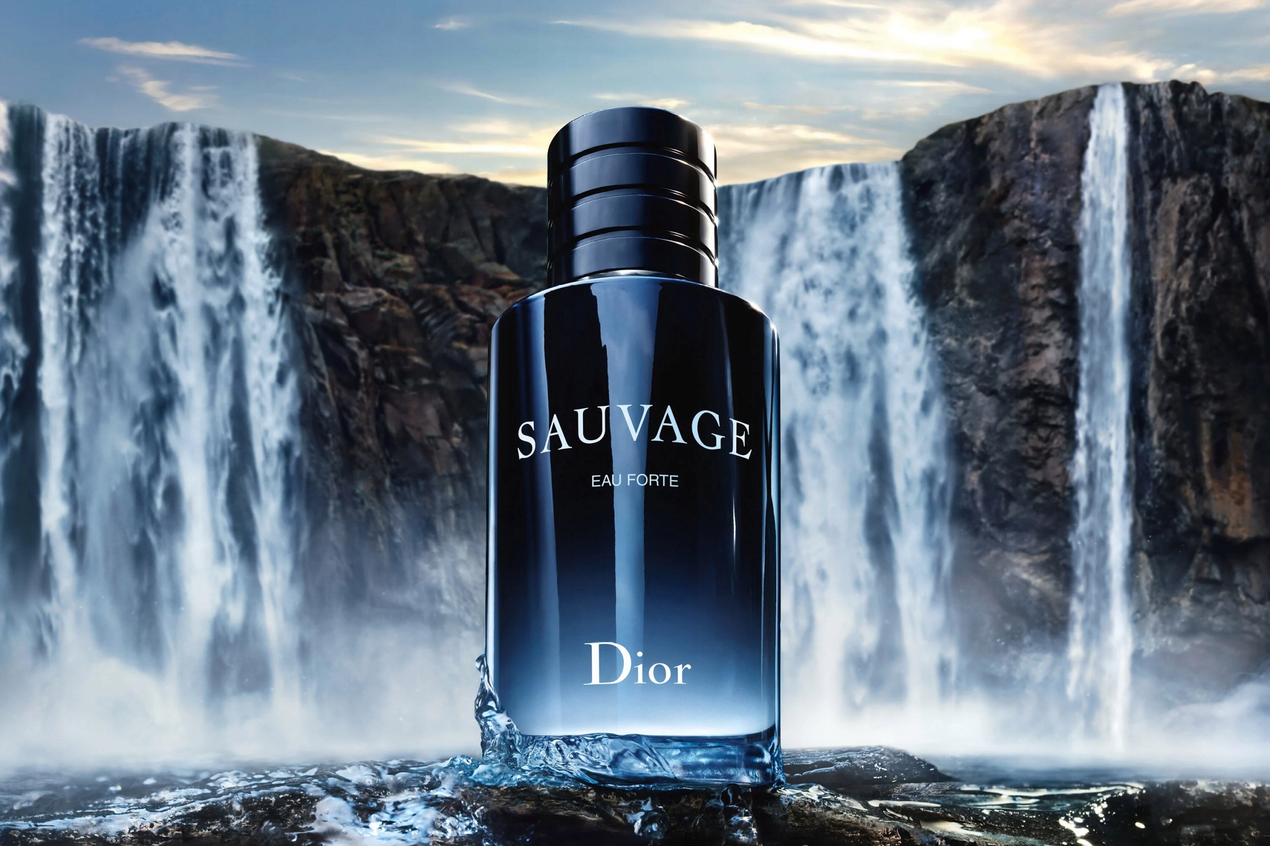 Dior Fougère Sauvage Eau Forte perfume 100 ml Packaging status original