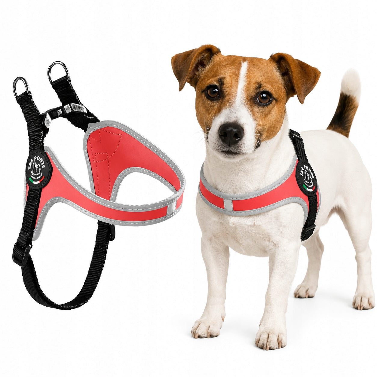 Dog BRACES Jack Russell M 43-58cm TRE PONTI red WITH REFLECTORS