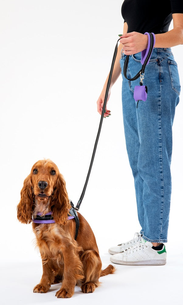 Dog BRACES M 43-58cm TRE PONTI Mesh PURPLE Jack Russell Dachshund Color purple