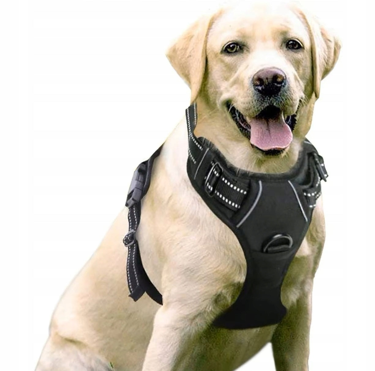 Dog BRACES PRESSURE-FREE black PetGang GUARD M 38-71cm Dachshund Pug Kind walking harness