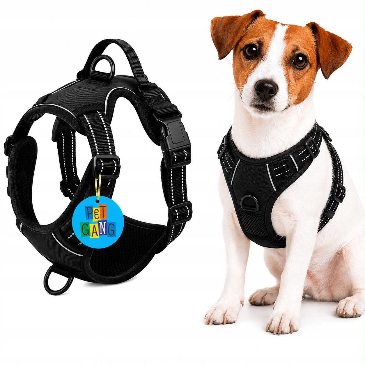 Dog BRACES PRESSURE-FREE black PetGang GUARD M 38-71cm Dachshund Pug