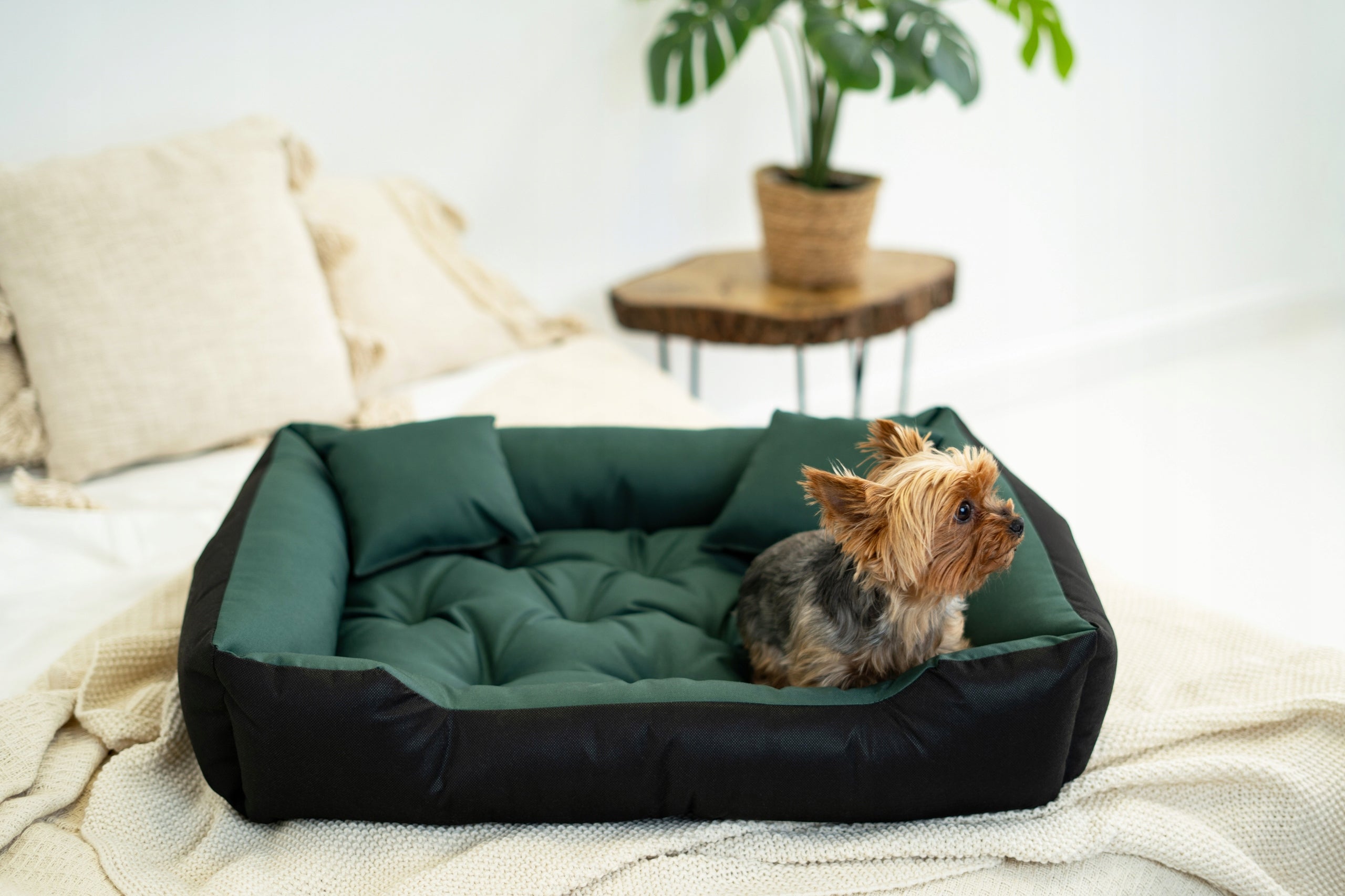 Dog Bed Cat Bedding Couch Playpen Waterproof Green 100x75 cm Length 100 cm