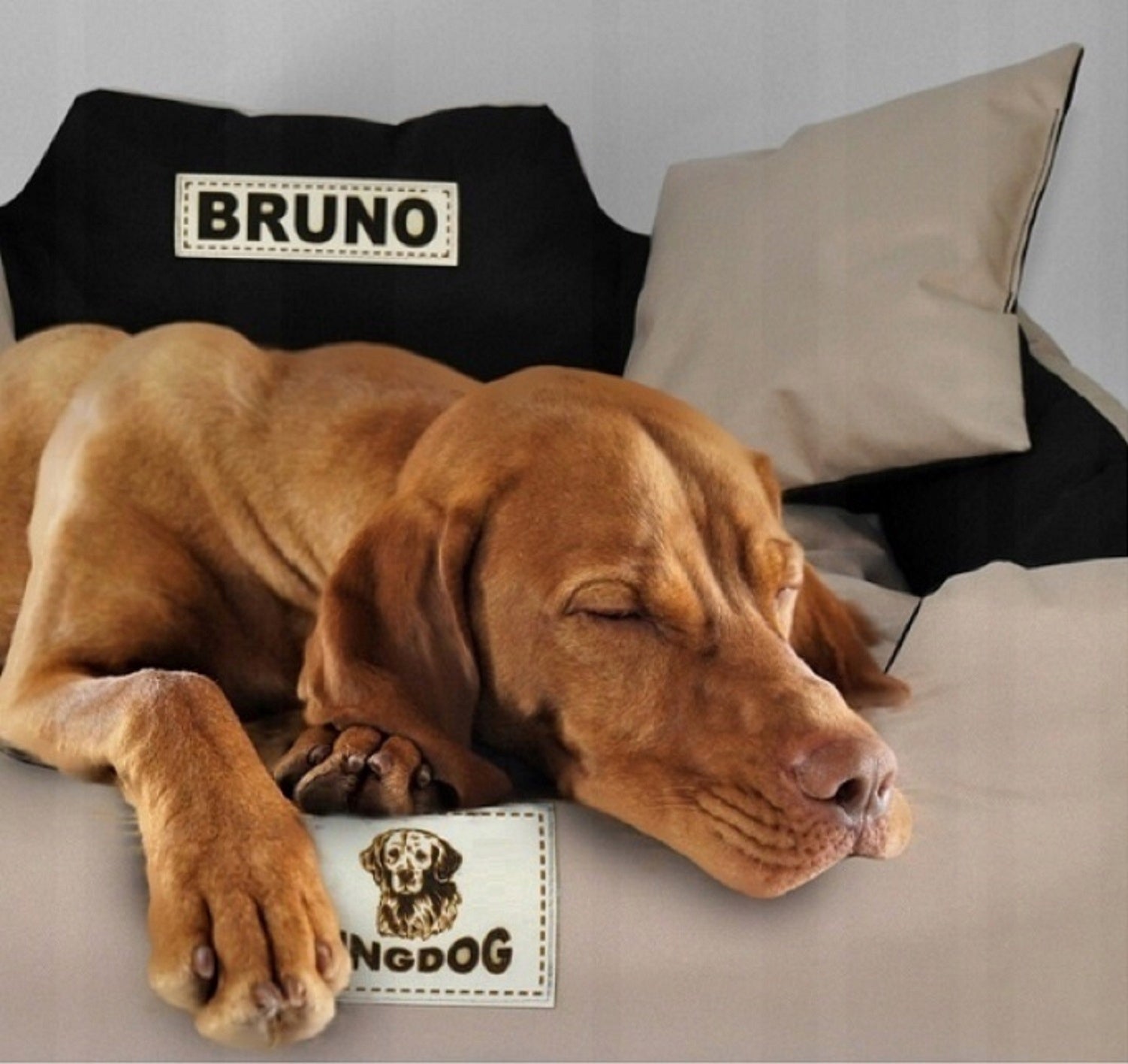 Dog Bed Cat Bedding Couch Playpen Waterproof + Name 115x95 cm Trade name Legowisko wodoodporne KING DOG