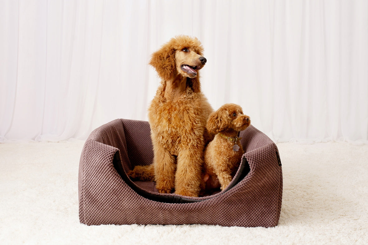 Dog Bed Cat Booth 2in1 XL Cottage 70x70cm Non-Slip Bedding Manufacturer code Amibelle Legowisko 2w1 dla Psa Kota Budka
