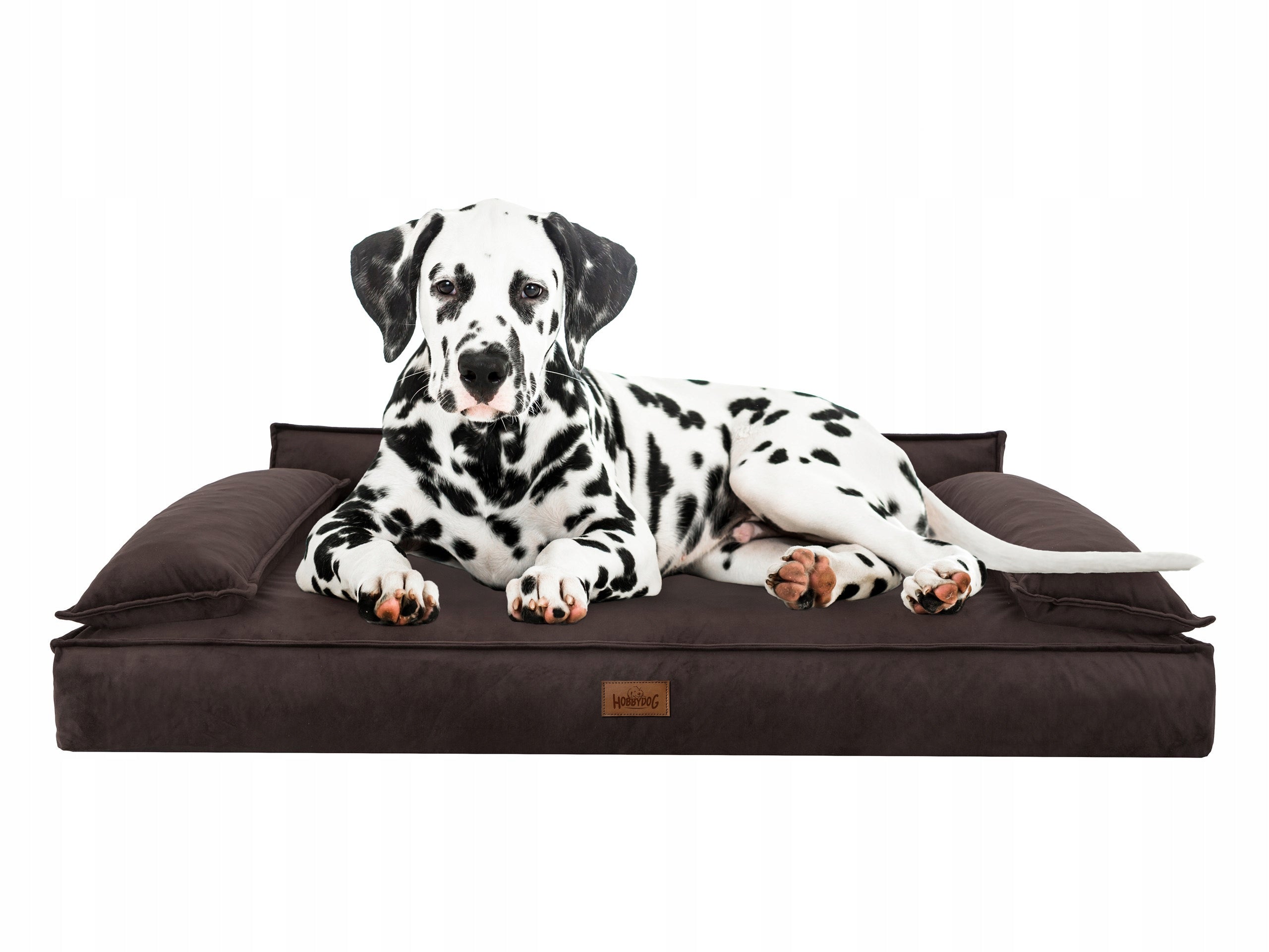 Dog Bed, Dog Couch Rectangular Waterproof, Mattress 120x75cm Trade name XXL LEGOWISKO DOGGY CHAMIPON BRĄZOWY VELVET