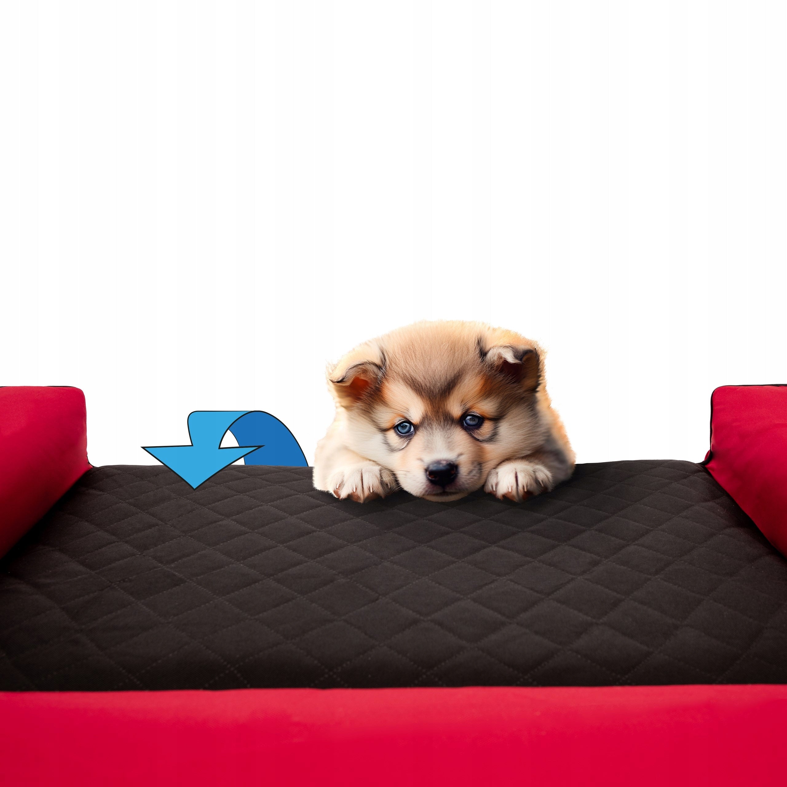Dog Bed, L 80x55 cm, Waterproof, Pull-down Cover Manufacturer code L VICCCM5