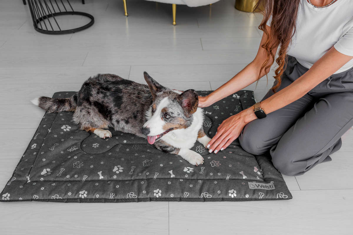 Dog Bed Mat 100x70 Waterproof Soft Pillow Cushion Sleeping Brand Welsti