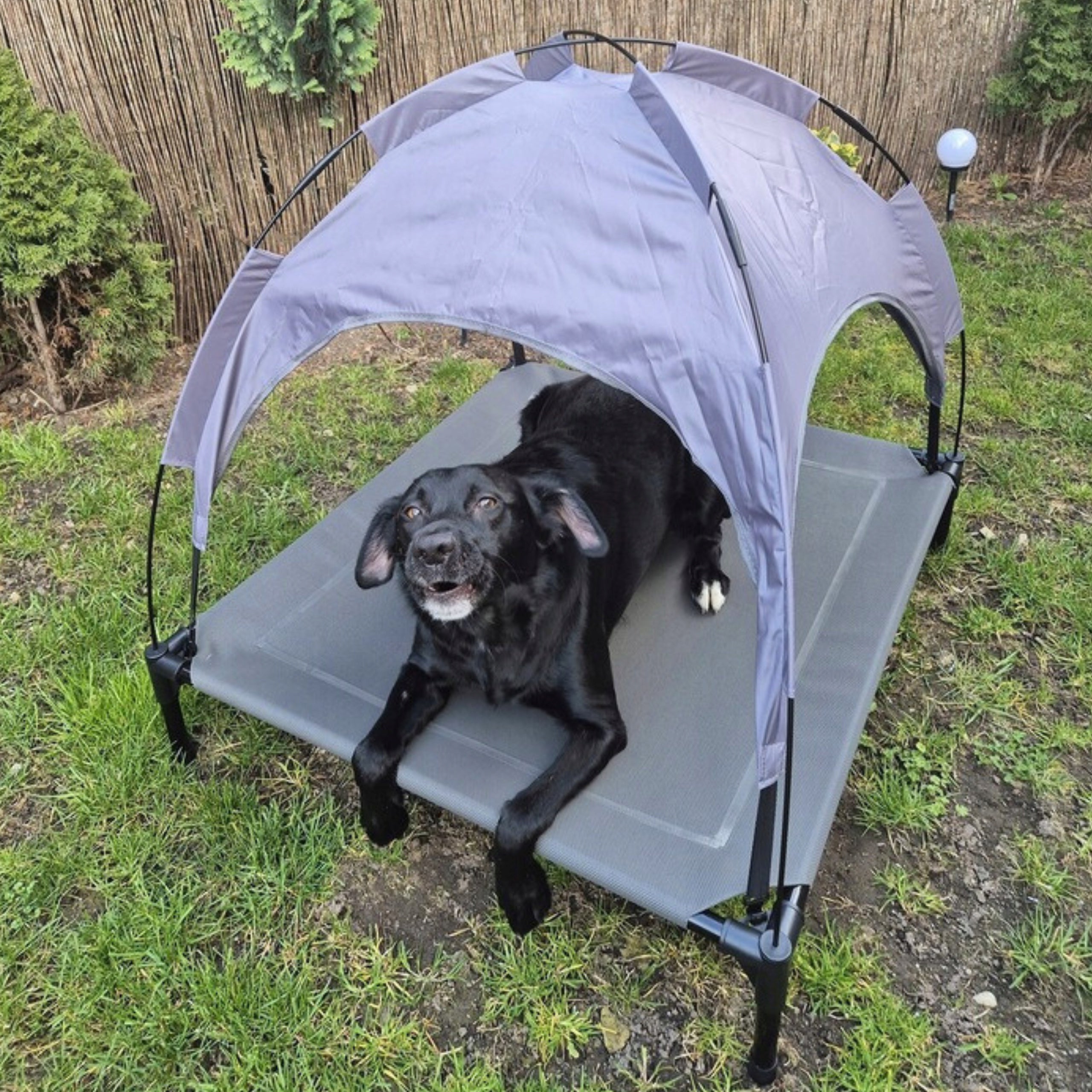 Dog Bed With Canopy Elevated Covered Tourist Large XXL Length 80 cm