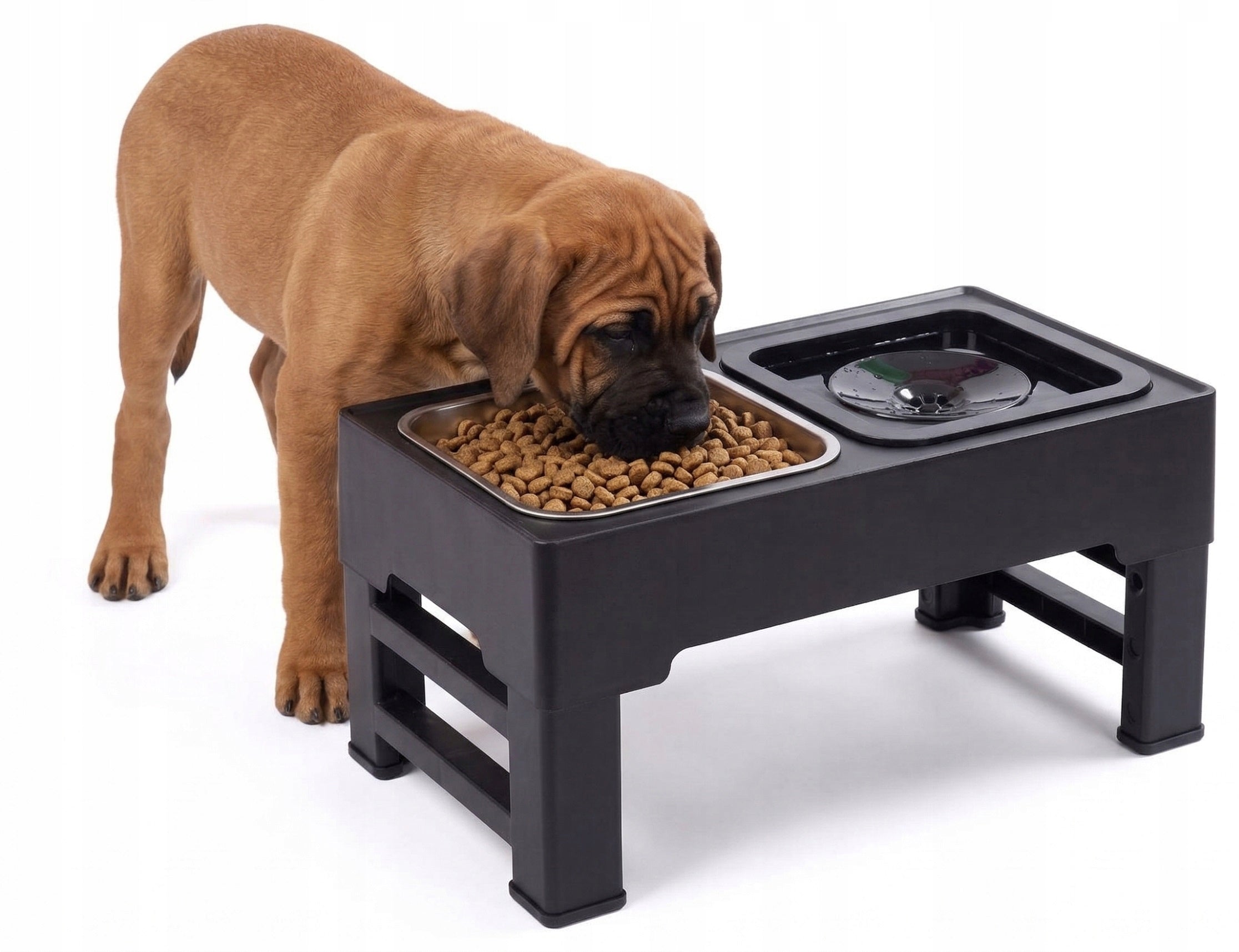 Dog Bowl Set Adjustable Height Double Non-Spill Metal 2in1 Color black
