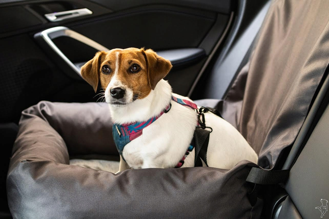 Dog Car Seat Dog Car Transporter Dog Car Seat Manufacturer code fotelik dla psa szary