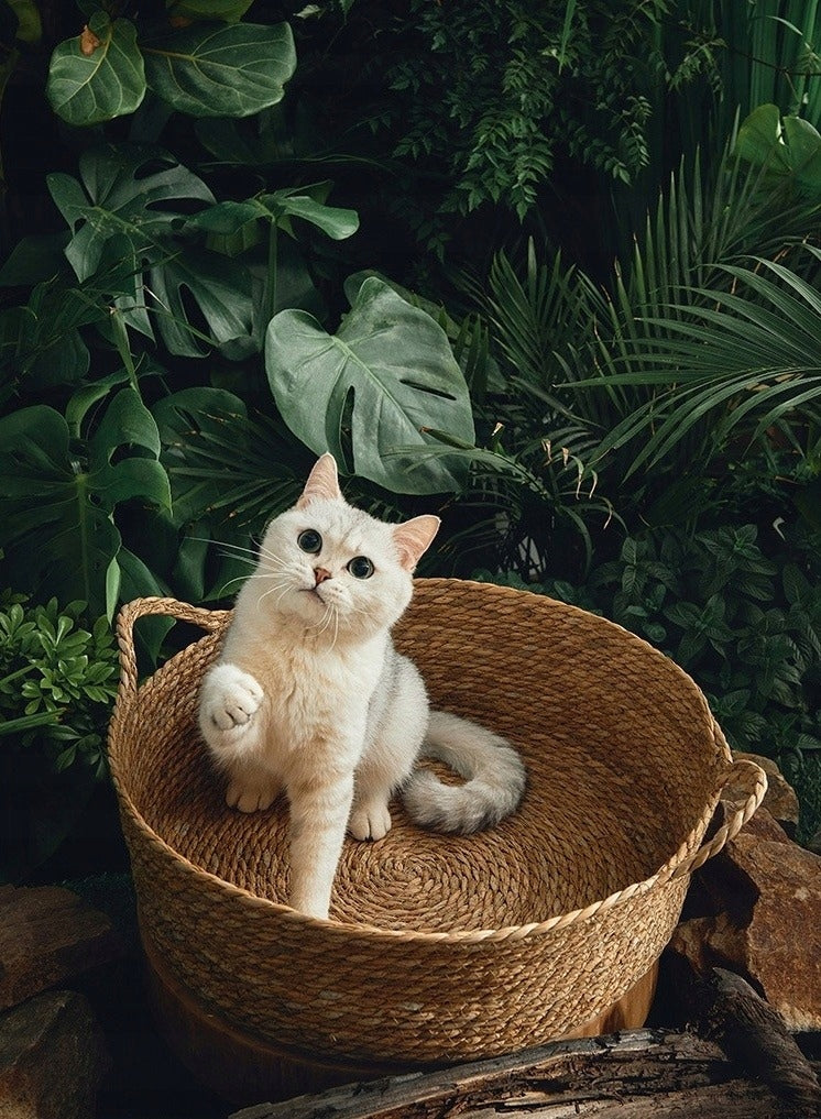 Dog Cat Bed Basket Round Braided + Soft Pillow Manufacturer code LK1