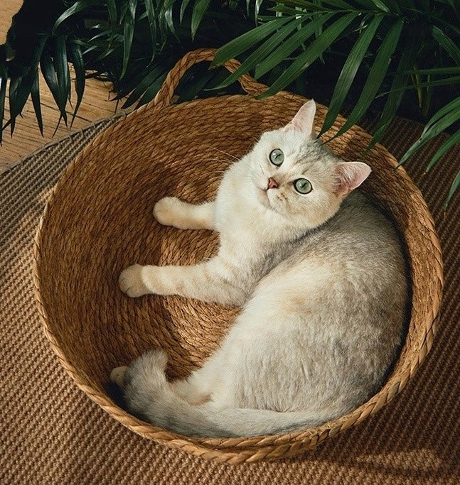 Dog Cat Bed Basket Round Braided + Soft Pillow Packaging status original