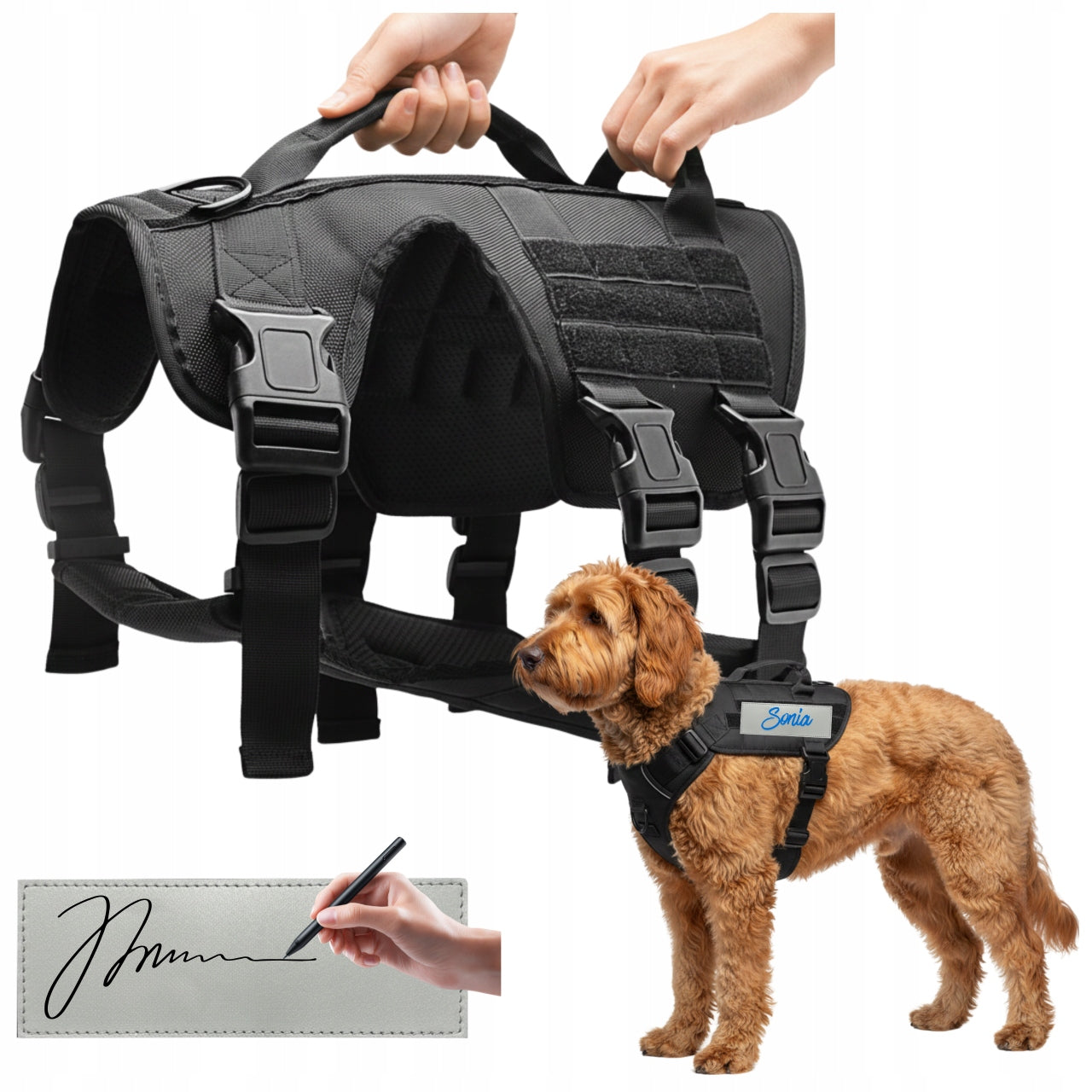 Dog Harness Adjustable Pressure-Free Strong Lightweight M Premium Solid Walk Packaging status original