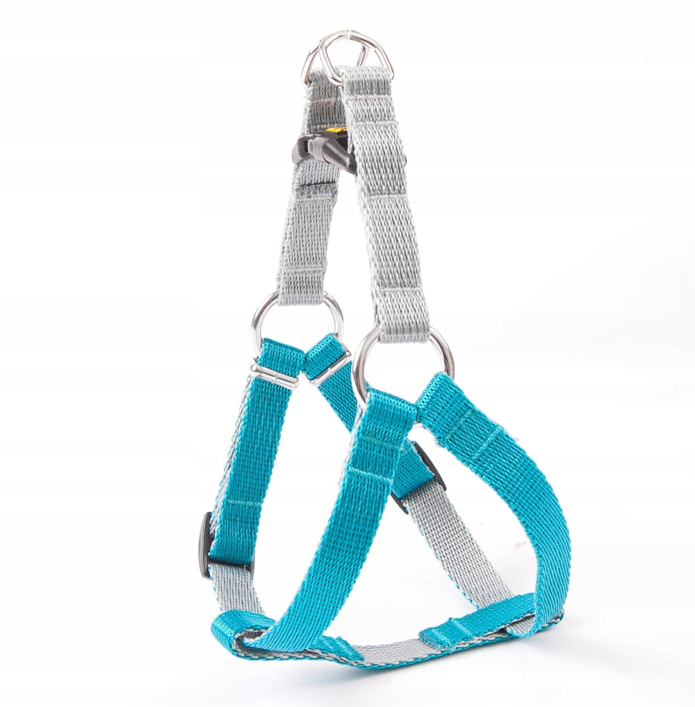 Dog Harness Fred silver Dingo 50cm/1,6cm sea - grey