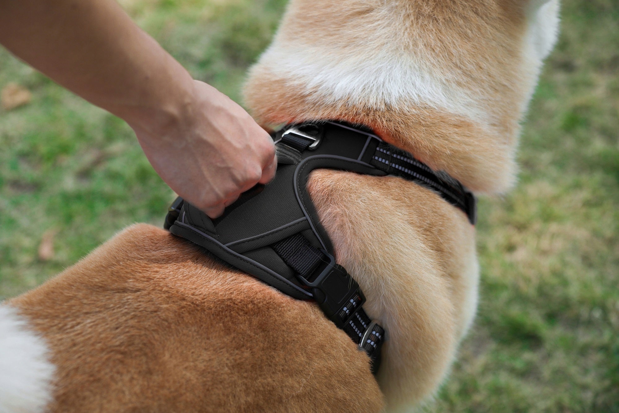 Dog Harness GUARD, SHEPHERD, LABRADOR, BLACK DURABLE size XL Size XL