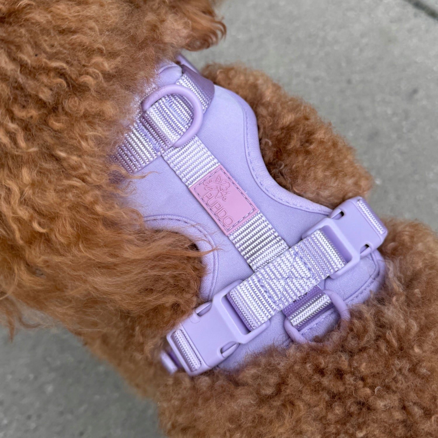 Dog Harness Guard Pressure-Free Walking Adjustable Lavender Pupido XS Kind walking harness