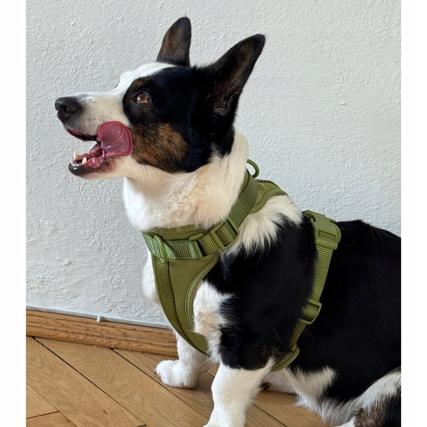 Dog Harness Guard Pressure-Free Walking Adjustable Olive Pupido L Manufacturer code Oliwkowe-SZELKI-L