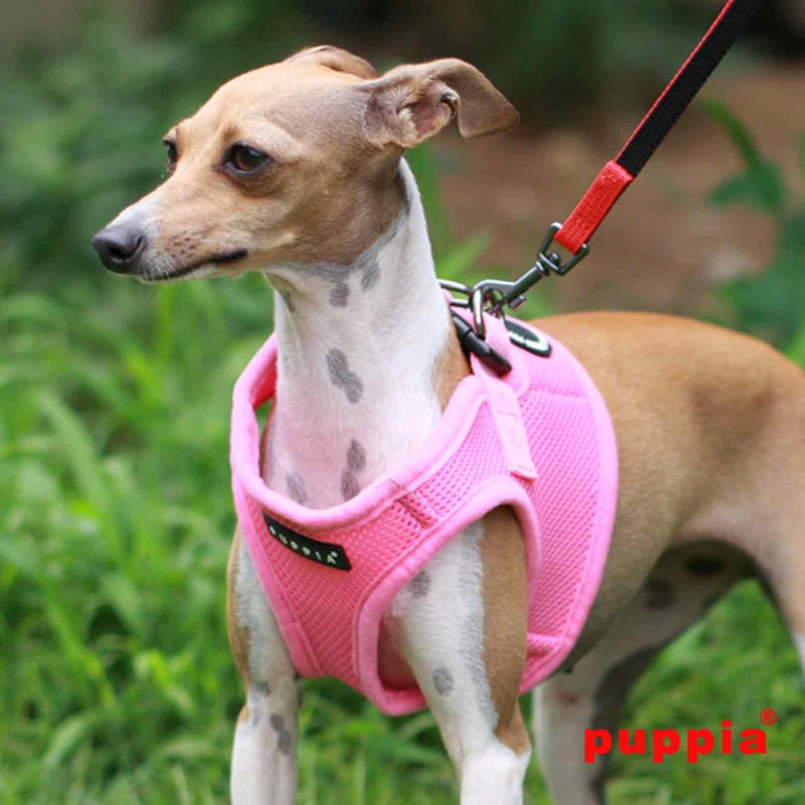 Dog Harness Puppia Soft pink S - lightweight, pressure-free Brand Puppia