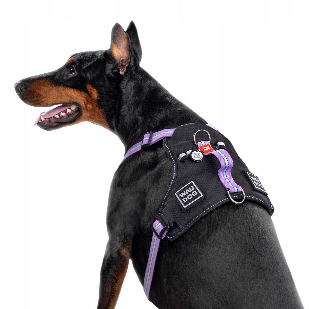 Dog Harness Safe + QR ADDRESS FREEBIE, Purple, Size S Brand Waudog