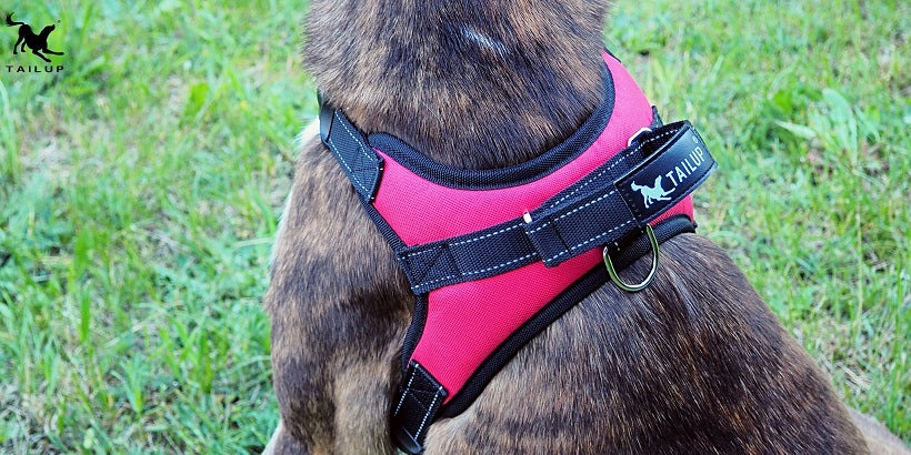 Dog Harness, Small Dog Harness, Pressure-Free Harness, Reflective Harness S Kind walking harness