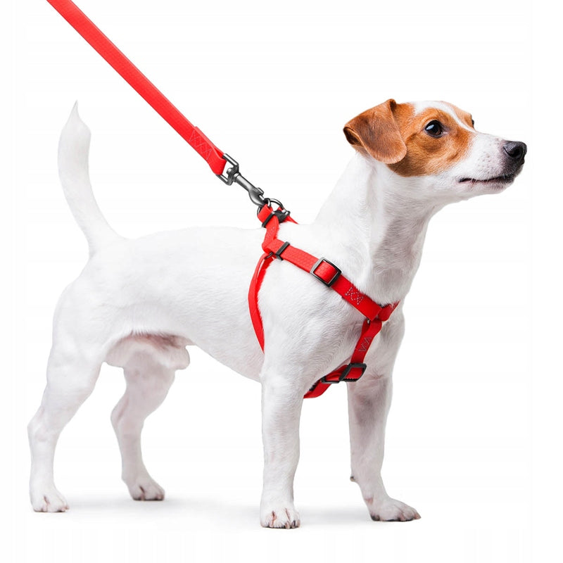 Dog Harness Waterproof + QR Address Card FREEBIE, Red, Size XS Kind walking harness