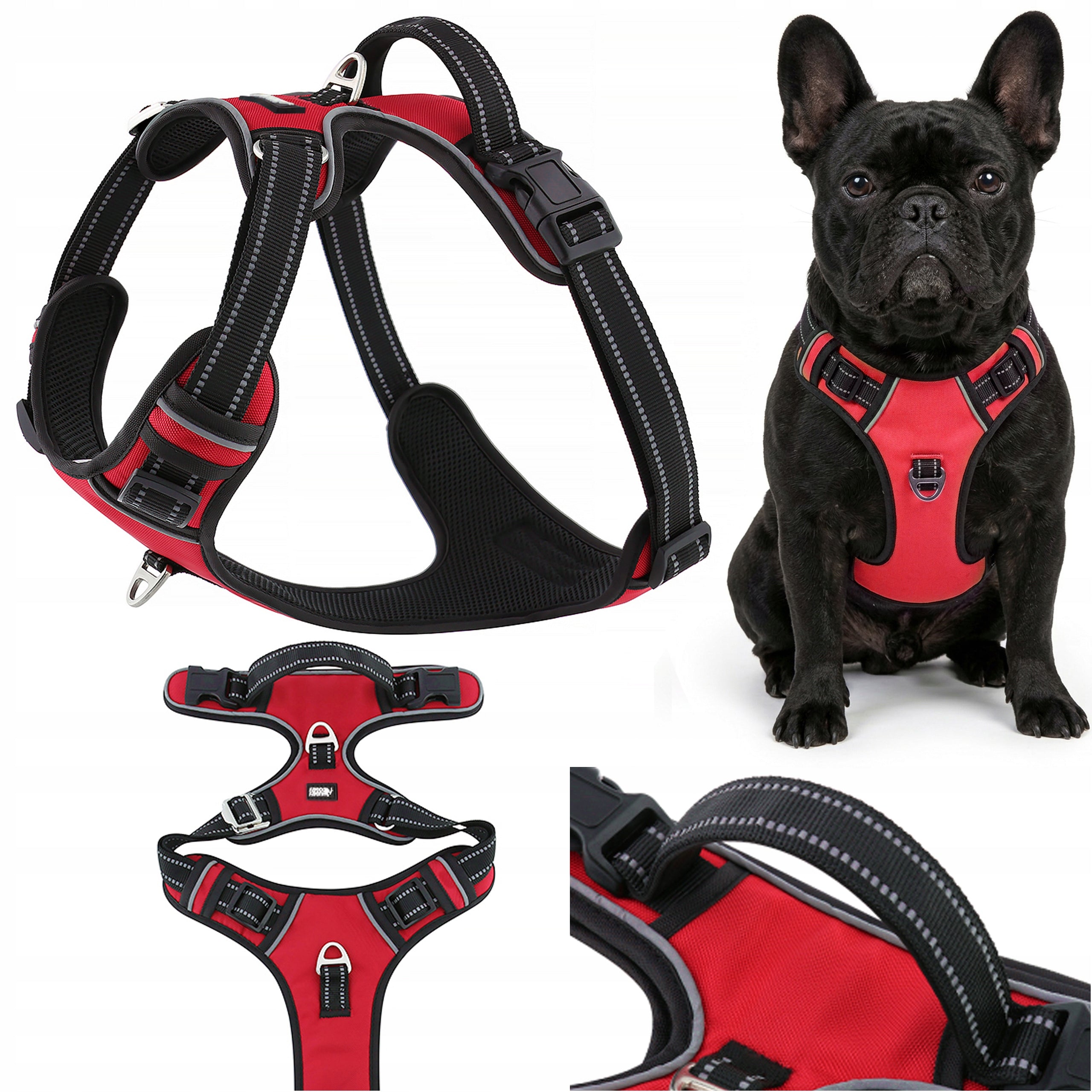 Dog Harness for Learning to Walk Reflective Guard HUGGY DOGGY Strong M