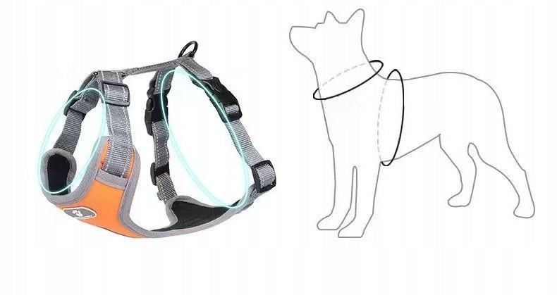 Dog Harness for Medium Giant Puppy Harness and Leash Set (Orange, M) Brand no brand