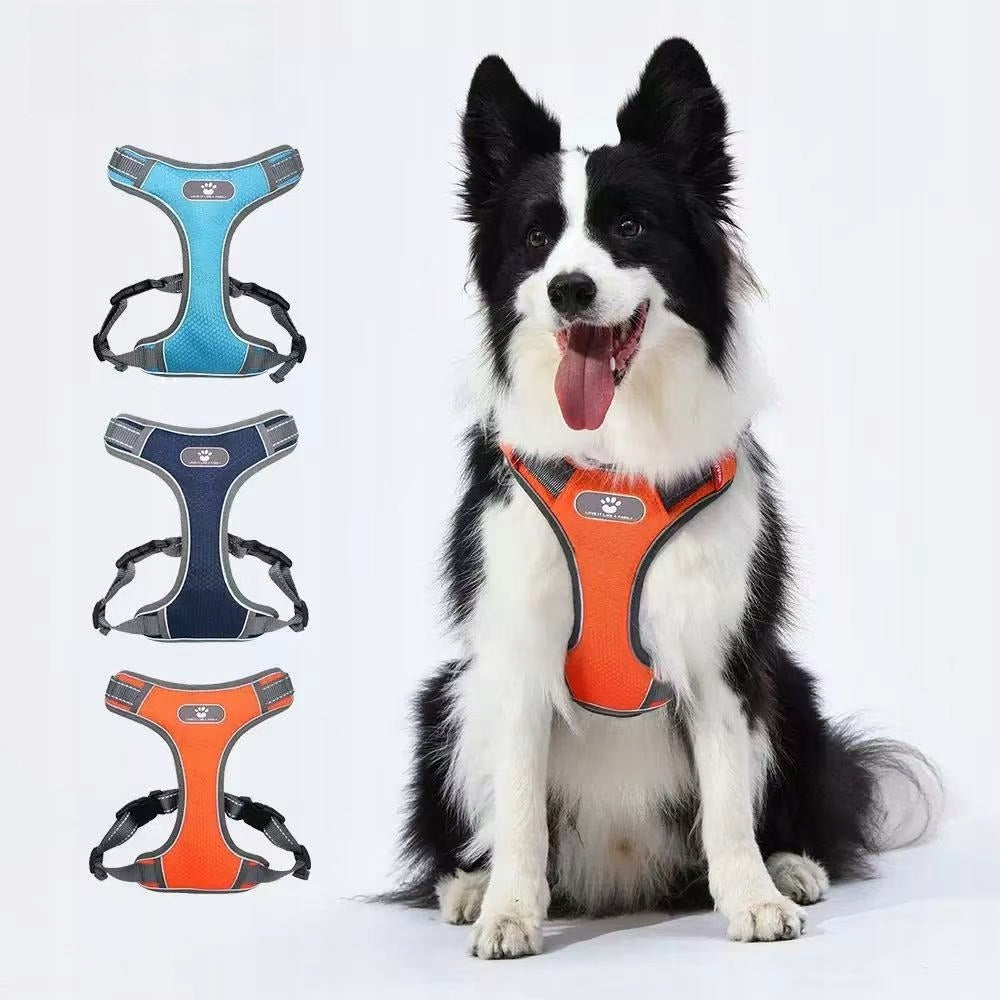 Dog Harness for Medium Giant Puppy Harness and Leash Set (Orange, M) EAN (GTIN) 769284864929